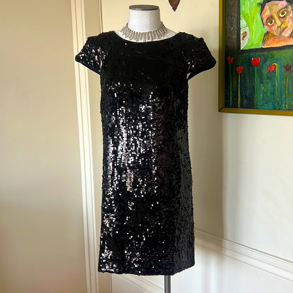 Sequined Banana Republic Cap Sleeve Stunner